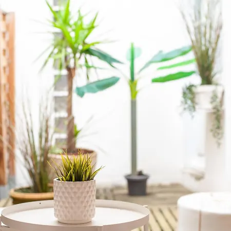 101 Cour De La Bastide Carcassonne