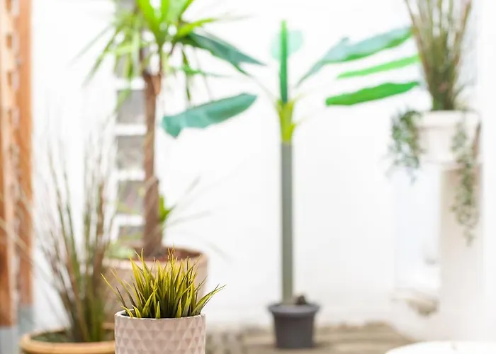 101 Cour De La Bastide Carcassonne